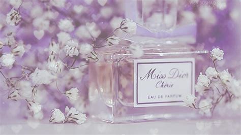 Dior miss wallpapers